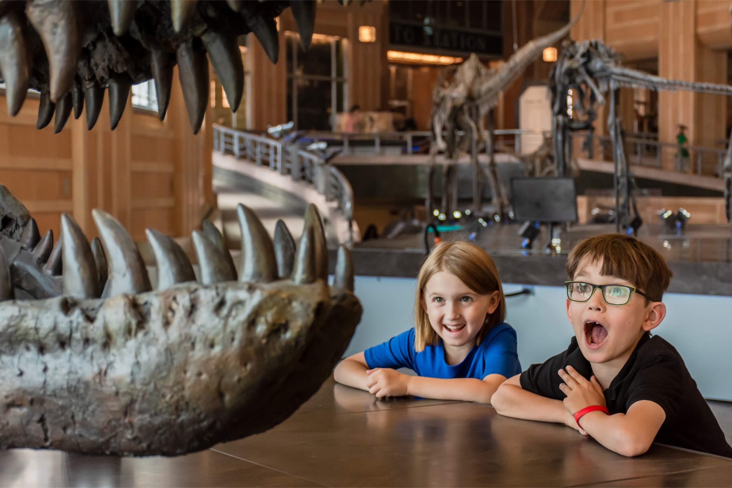 Two excited kids react to massive dinosaur jaws on display at the Cincinnati Museum Center in Ohio, with fossil skeletons in the background.