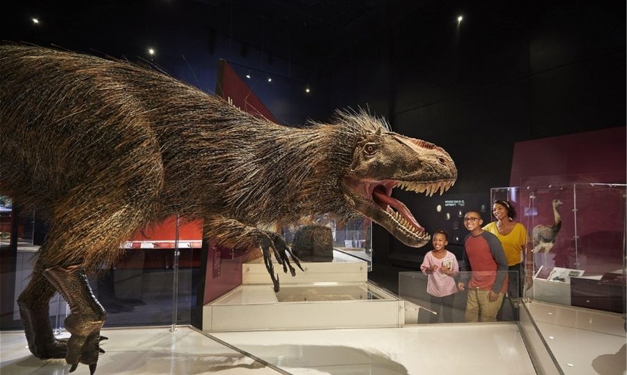 Family views a lifelike feathered dinosaur exhibit at the COSI Center of Science and Industry’s Dinosaur Gallery in Ohio.