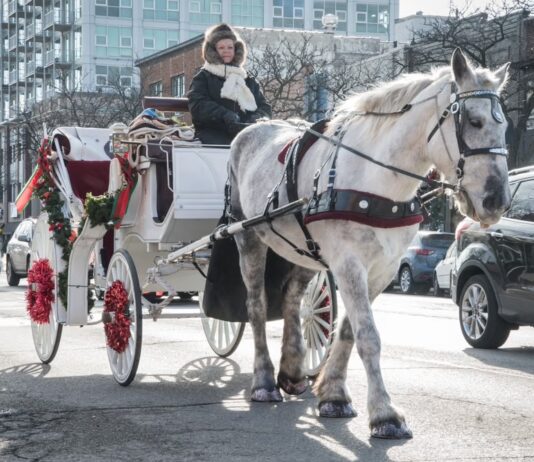 Horse-drawn carriage decorated with holiday wreaths offering festive rides in downtown Royal Oak during Royal Oak Holidays.