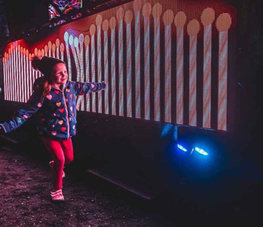 Aurora: Winter Wizards at Glenlore Trails Child interacts with glowing light display at Aurora Winter Wizards at Glenlore Trails in Commerce Township during the immersive night walk.
