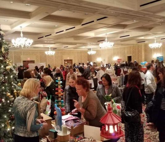 Shoppers browse vendor booths and holiday displays at the Downtown Rochester Holiday Expo surrounded by festive decor and gifts.