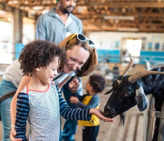 Guided Farm Tours at Wolcott Mill Metropark Farm Center A family feeds a goat during the guided farm tours at Wolcott Mill Metropark Farm Center, a fun hands-on activity for kids.