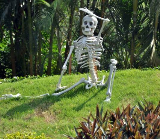Skeleton sitting on a grassy hill at Indian Springs Metropark during The Great Skeleton Scavenger Hunt Halloween event.