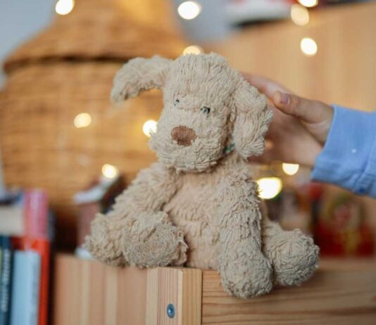 Child holds a soft plush dog made at the Stuff-A-Pet Party at Greenmead Historical Park during the themed scarecrow craft event.