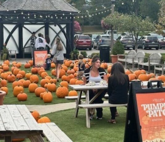 The Village Pumpkin Patch in Rochester Hills Families visit the Village Pumpkin Patch in Rochester Hills with rows of pumpkins, picnic tables, and fall decorations for kids and parents