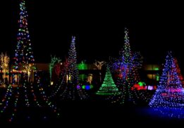 Dearborn Wanderlights Peace Park West holiday light display featuring colorful illuminated trees and glowing sculptures during the winter event
