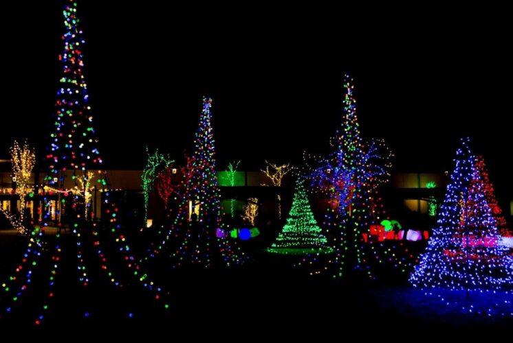 Dearborn Wanderlights Peace Park West holiday light display featuring colorful illuminated trees and glowing sculptures during the winter event
