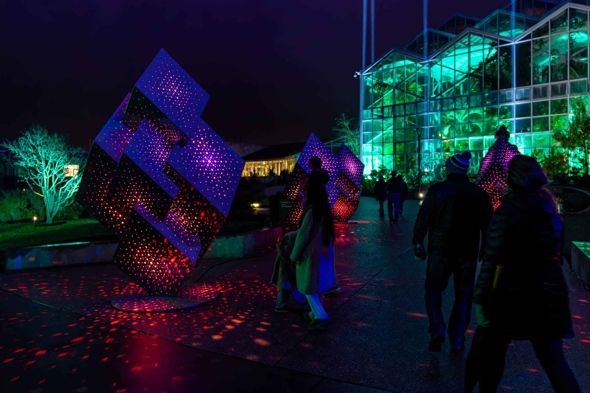 Visitors walk past glowing light sculptures during ENLIGHTEN at Frederik Meijer Gardens in Grand Rapids, a popular holiday attraction for families.