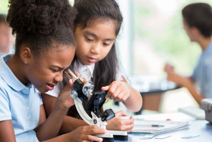 Two students explore science with a microscope during the Scientist Spotlight at the University of Michigan Museum of Natural History.