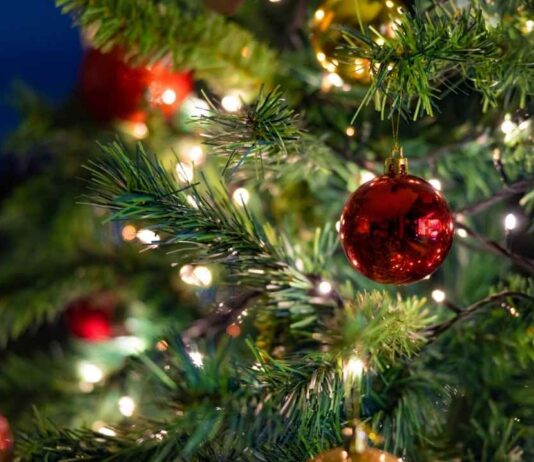 Southfield Tree Lighting Ceremony at Southfield Municipal Campus Southfield Tree Lighting Ceremony holiday tree with glowing lights and red and gold ornaments creating a festive seasonal scene