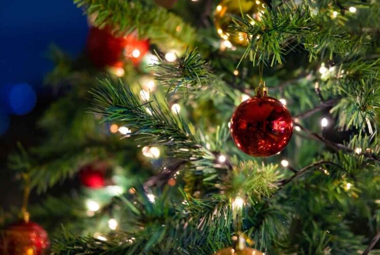 Southfield Tree Lighting Ceremony holiday tree with glowing lights and red and gold ornaments creating a festive seasonal scene