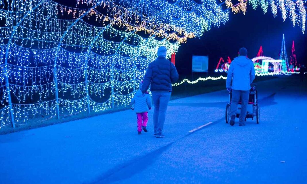 Families walk under glowing holiday light tunnels at a Michigan drive-through Christmas lights show, part of the best festive displays beyond Detroit.