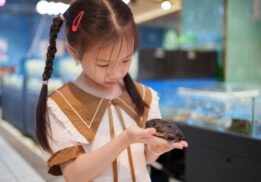 Home school reptile and amphibian encounter Nankin Mills showing a child holding a turtle during a hands on animal learning program