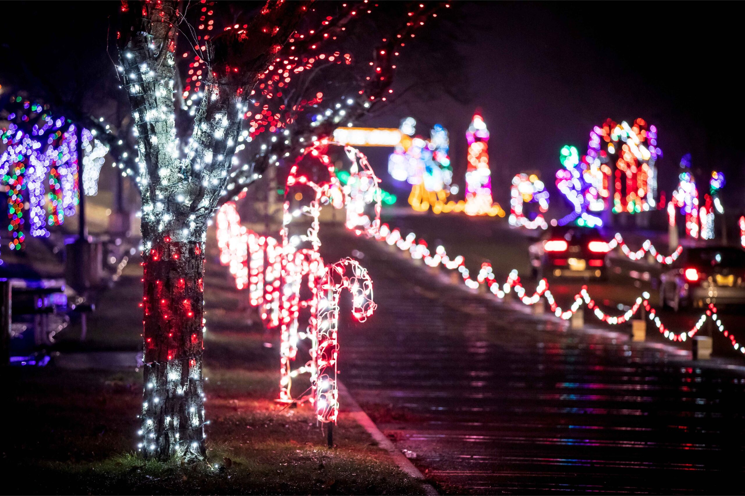 Cars drive through the Magic of Lights holiday display at Pine Knob Music Theatre with colorful light tunnels candy canes and trees lighting the route.