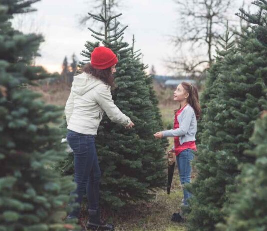 A parent and child look at Christmas trees similar to the decorated displays at Trees for a Cause at The Village of Rochester Hills during the holiday season