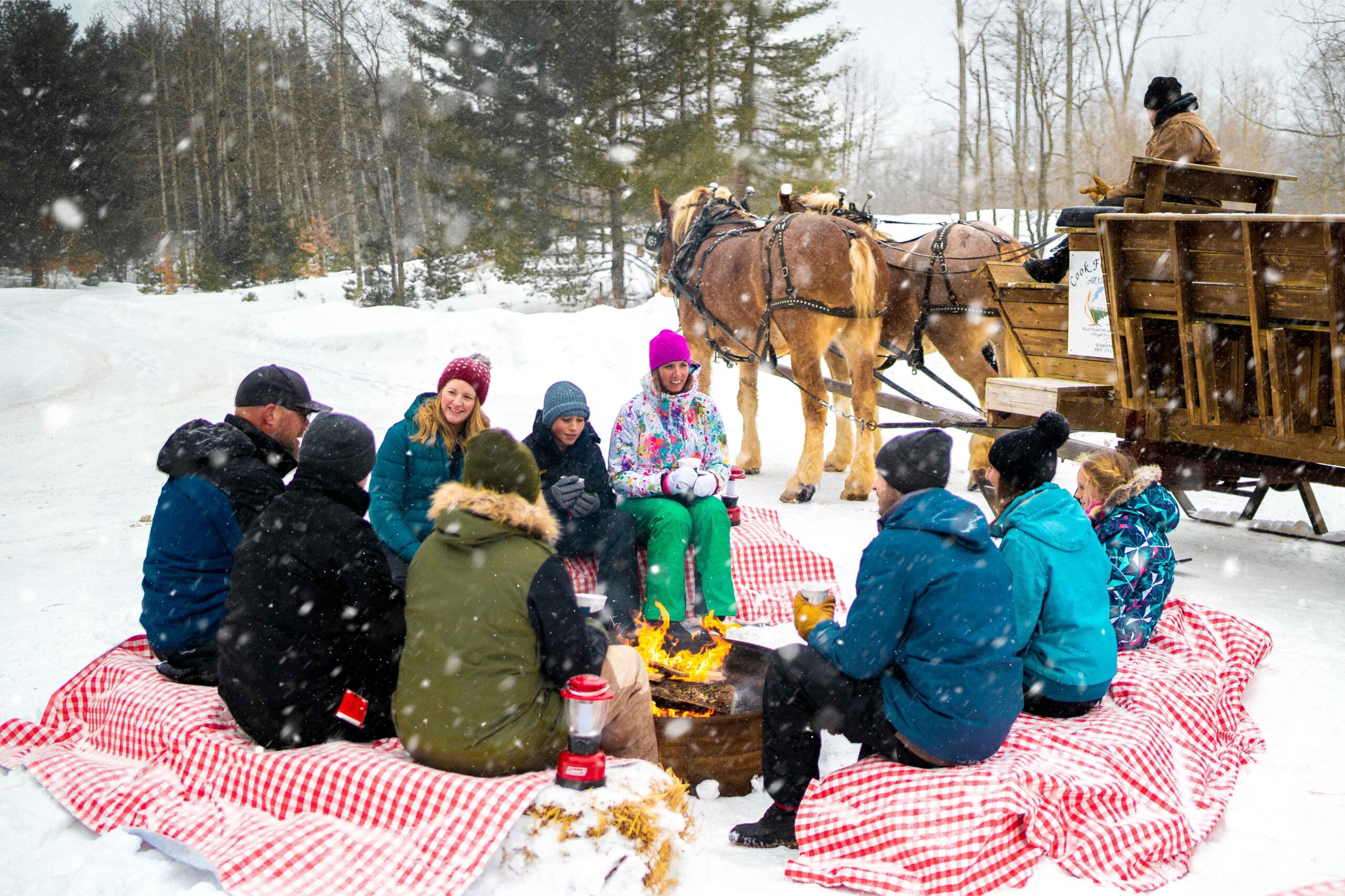Families gather around a winter bonfire at Treetops Resort with a horse-drawn carriage nearby during a seasonal Michigan getaway.