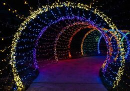 Colorful Tunnel of Lights at Blossom Heath Park with glowing arches creating a festive holiday walk for families and kids