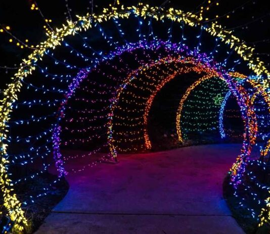 Tunnel of Lights at Blossom Heath Park Colorful Tunnel of Lights at Blossom Heath Park with glowing arches creating a festive holiday walk for families and kids