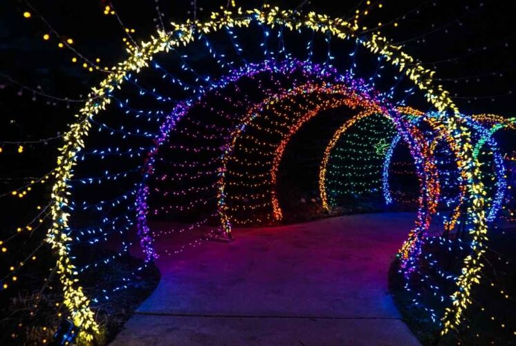 Colorful Tunnel of Lights at Blossom Heath Park with glowing arches creating a festive holiday walk for families and kids