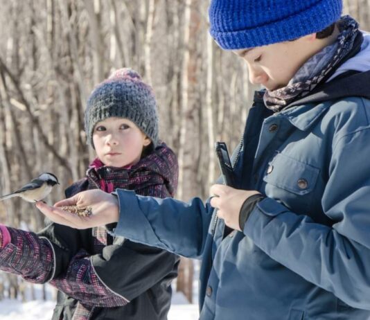 Chickadee Meet and Greet at Kensington Nature Center Children feeding chickadees during the Chickadee Meet and Greet Kensington Nature Center winter bird program for families