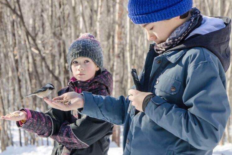 Children feeding chickadees during the Chickadee Meet and Greet Kensington Nature Center winter bird program for families
