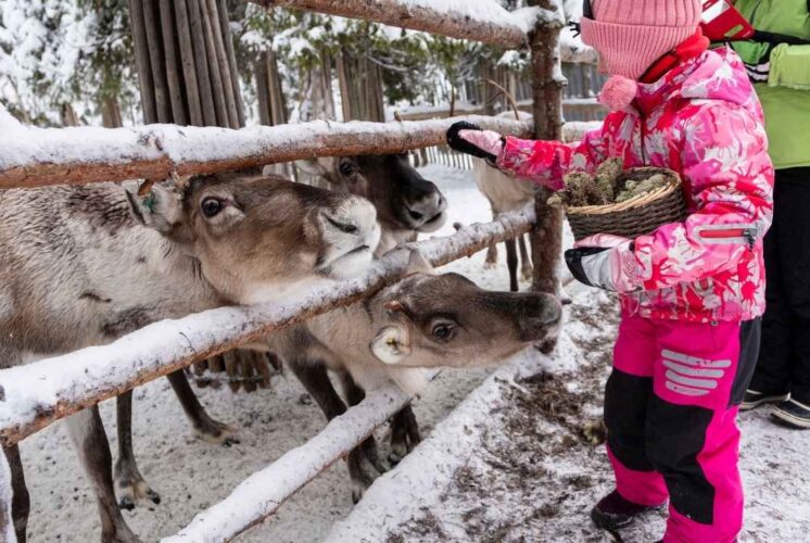 Child feeding animals during Feeding Time in the Nature Center at Stony Creek Metropark, a free family wildlife experience