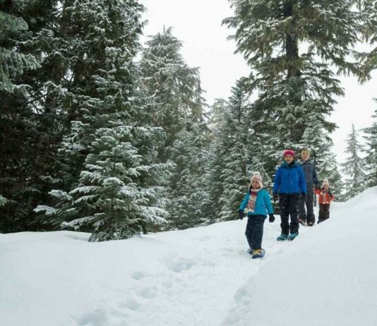 Lantern Lit Trail Hike at Independence Lake County Park Family hiking through snowy woods during the Lantern Lit Trail Hike Independence Lake, a winter evening hike with lanterns and outdoor fun
