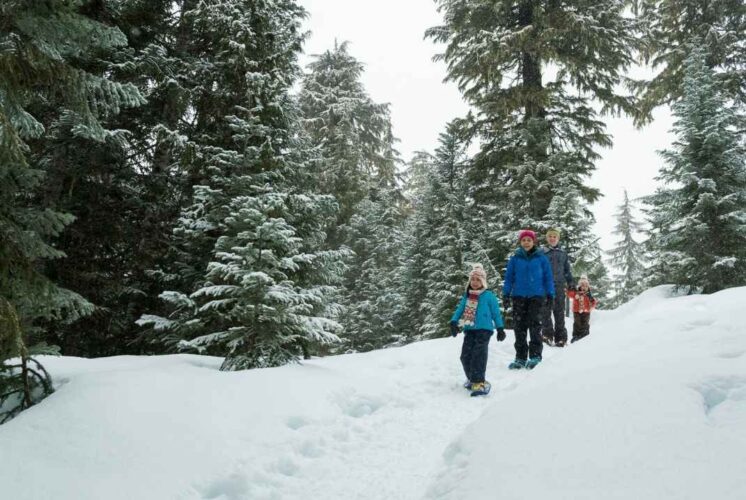 Family hiking through snowy woods during the Lantern Lit Trail Hike Independence Lake, a winter evening hike with lanterns and outdoor fun