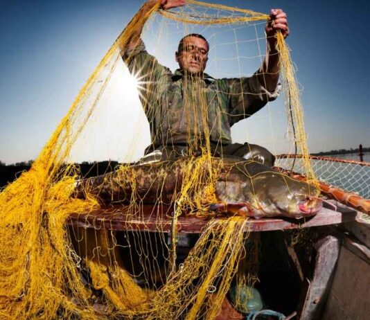 Angler demonstrating fishing nets at the Ultimate Fishing Show Detroit, showcasing commercial fishing techniques and gear at the show.