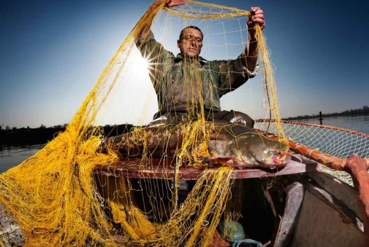 Angler demonstrating fishing nets at the Ultimate Fishing Show Detroit, showcasing commercial fishing techniques and gear at the show.