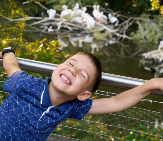 Preschool child enjoying Zoo Tots animal habitats program while exploring a zoo habitat with birds and water behind him