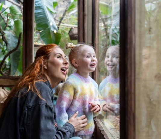 Adult and preschool child exploring Zoo Tots Animal Habitats at the Detroit Zoo while learning about animal habitats together.