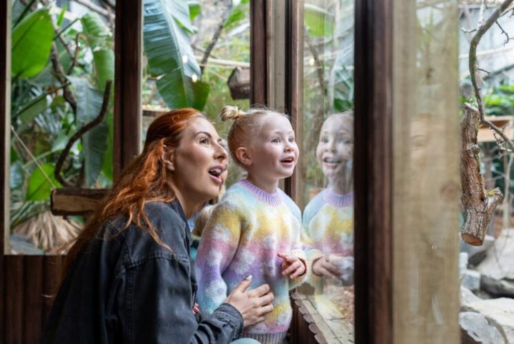 Adult and preschool child exploring Zoo Tots Animal Habitats at the Detroit Zoo while learning about animal habitats together.