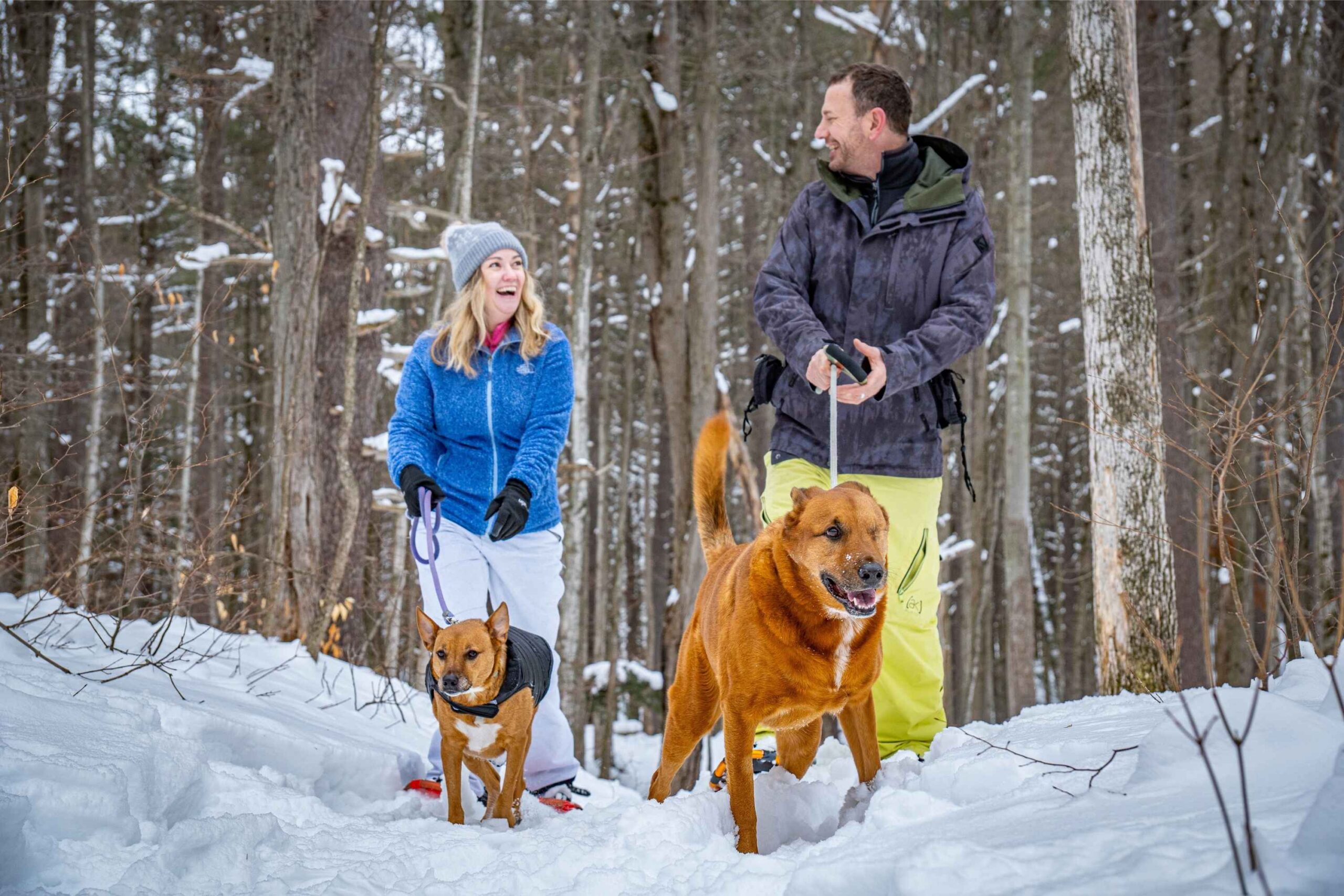 Couple winter hiking with dogs in Gaylord, Michigan enjoying snowy forest trails during a northern Michigan getaway.