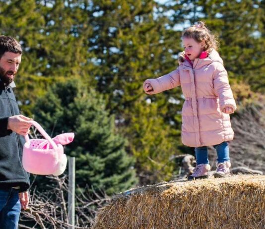 Child and parent enjoying Blake’s Backyard Almont Easter egg hunt during a family friendly spring farm event with hay bales and egg hunt fun