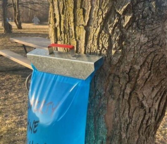Home School Maple Sugar and Lumberjacks at Nankin Mills Interpretive Center showing maple sap collection from a tapped tree during outdoor program