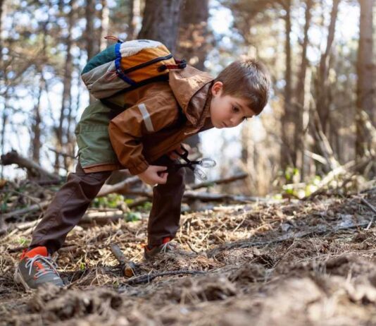 Spring Equinox Hike at Lake Erie Marshlands Museum Spring Equinox Hike at Lake Erie Marshlands Museum image of a child exploring the woods during a family nature walk.