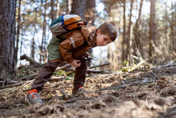 Spring Equinox Hike at Lake Erie Marshlands Museum image of a child exploring the woods during a family nature walk.