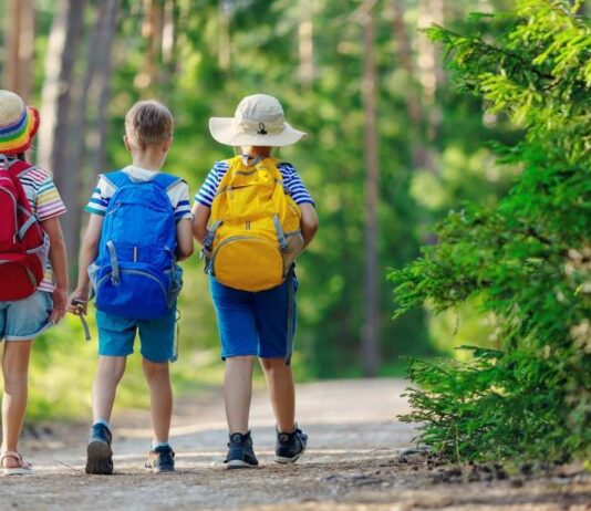 World Aquatic Animal Day hike at Crosswinds Marsh World Aquatic Animal Day hike at Crosswinds Marsh with kids walking nature trail exploring wildlife and aquatic habitats