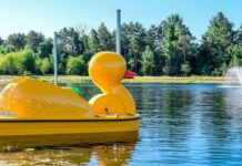Duck paddle boat on a lake in Muskegon near family-friendly lodging, showcasing fun waterfront activities for kids and parents