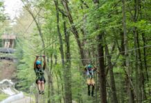 Kids ziplining through trees at Muskegon Luge Adventure Sports Park, a popular spring outdoor activity for families visiting Muskegon